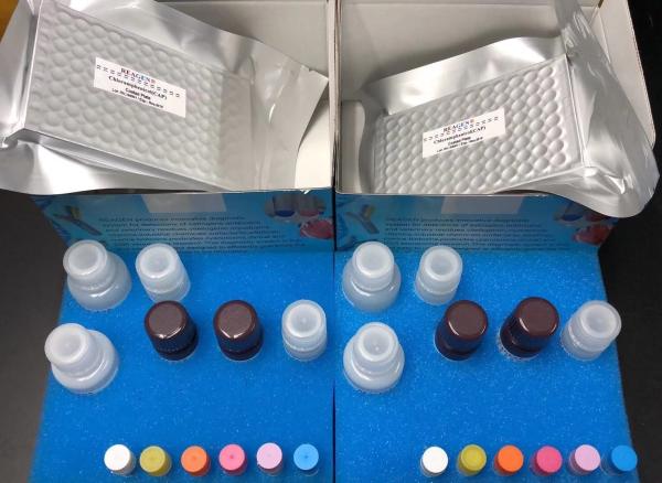 Quality Professional ELISA Test Kit / ELISA instruments Manufacturing Technical Export for sale