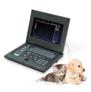 MS-M413 Medical Equipment Handheld Portable Device Vet Portable Animal Ultrasound Scanner