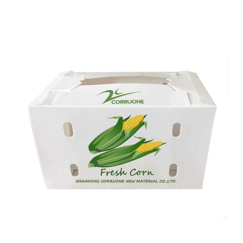 Correx Corn Vegetable Corrugated Boxes Corrugated Plastic Shipping Boxes
