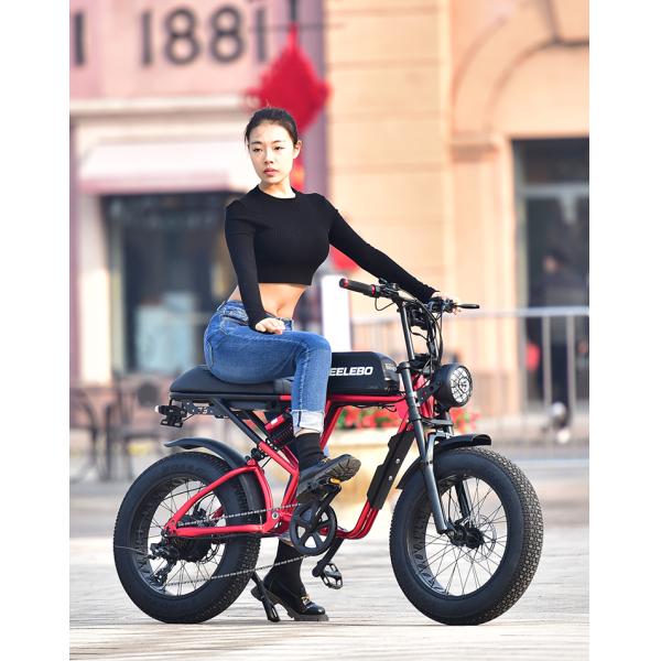 High Power Electric Cycle Motor 500w 750w 1000w E-bike GOMID Retro Electric Fat Tire Bicycle with Wheel Size 20*4.0 Inch