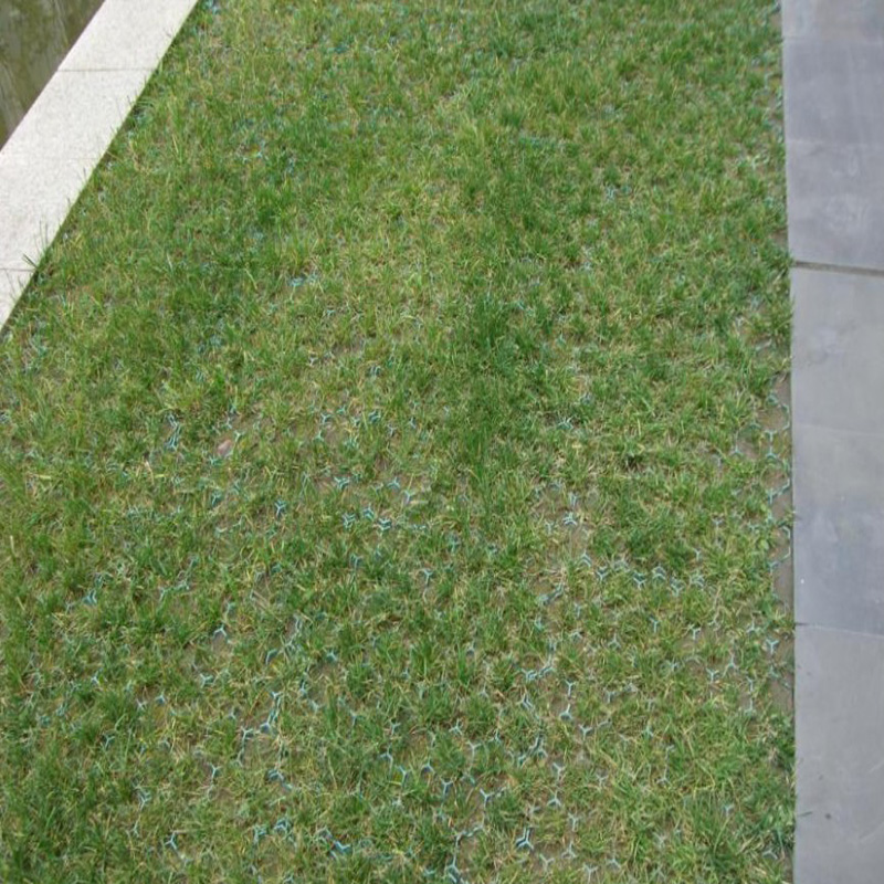 PP Grass Paver Grid 38mm 48mm 68mm Height for Parking Lot Driveway HDPE Reinforcing