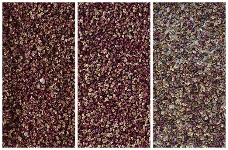 2.5kw Mini Pepper Sorting Machine with Advanced Color CCD Sensor