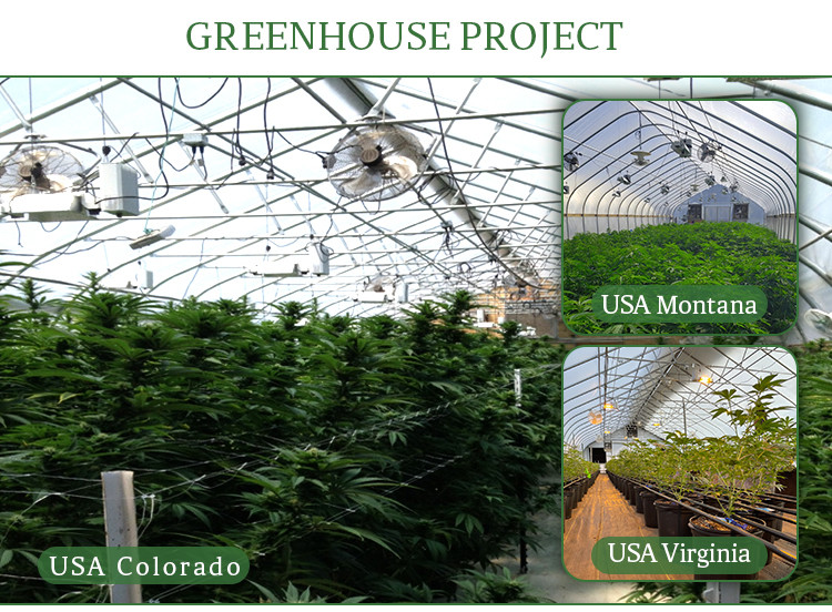 Hot Galvanized Steel Structure Greenhouse Kits with Plastic Film and Shade Net Cover Material and 1.5m-1.8m Shoulder Height