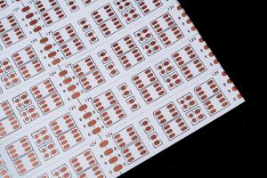 China Factory FPCB for Led strip circuit board Double Layer LED Strip FPC Board&amp; 240mmx500mm FPCB&amp;5050 Copper foil RGB Double row line wholesale