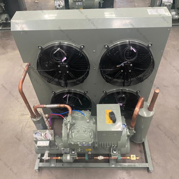 Quality Compact Condenser Unit Air Cooled With Highly Rotary Inverter Compressor for sale