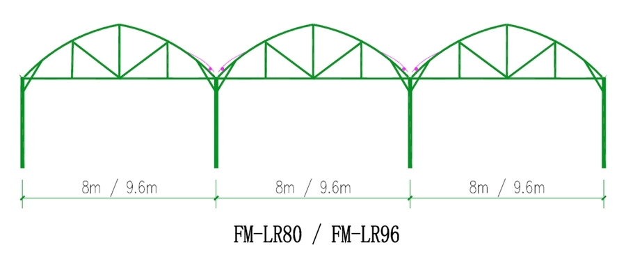 Plastic Film Greenhouses 6.jpg