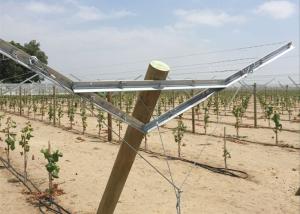 China Grape Manor Vineyard Trellis Systems Reduced Installation And Setup Costs wholesale
