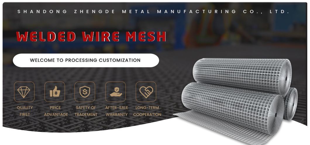 Hot Galvanized Welded Wire Mesh China 800 mm - 1600 mm Width 6 X 6 Welded Wire Mesh