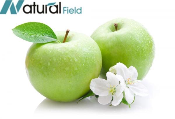 Best Sells Product Phloretin, Free Samples Green Apple Extract, China Supplier Apple Extra