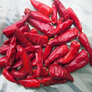 China Round 12% Moisture Red Bullet Chilli Anhydrous HACCP With Hat King Small Size wholesale