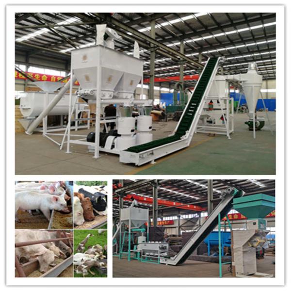 Quality Moisture Content Of Raw Materials ≤20% Pellet Feed Production Line With Performance for sale