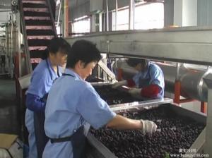 China Customized Capacity Fruit Juice Processing Line Fully Automatic Control wholesale