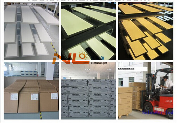 promotion 100x1200mm led panel