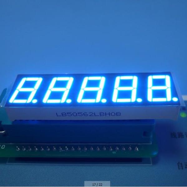 Quality Ultra Blue 5 Digit 7 Segment Display Eco Friendly Custom 100 mcd 0.56" for sale