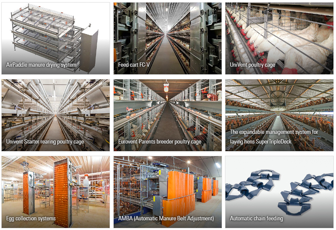 10000 Chickens Prefabricated Steel Tolerance ±1% for Chicken and Duck Farm Structures