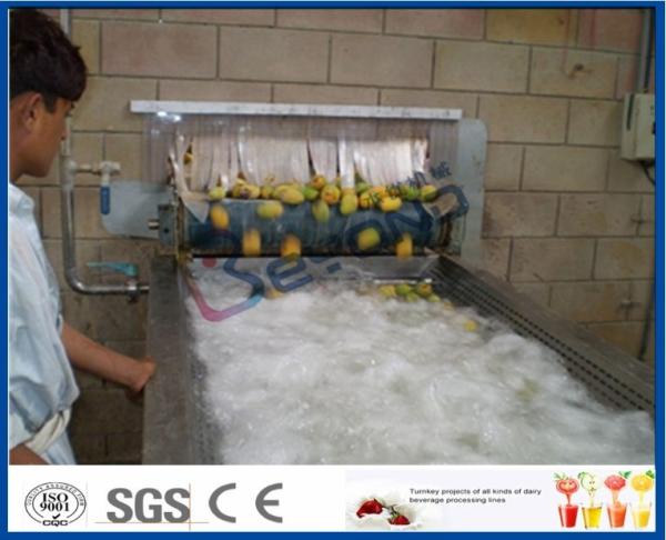 Quality Pineapple Mango Processing Line , Fruit Juice Mango Pulp Processing Plant for sale