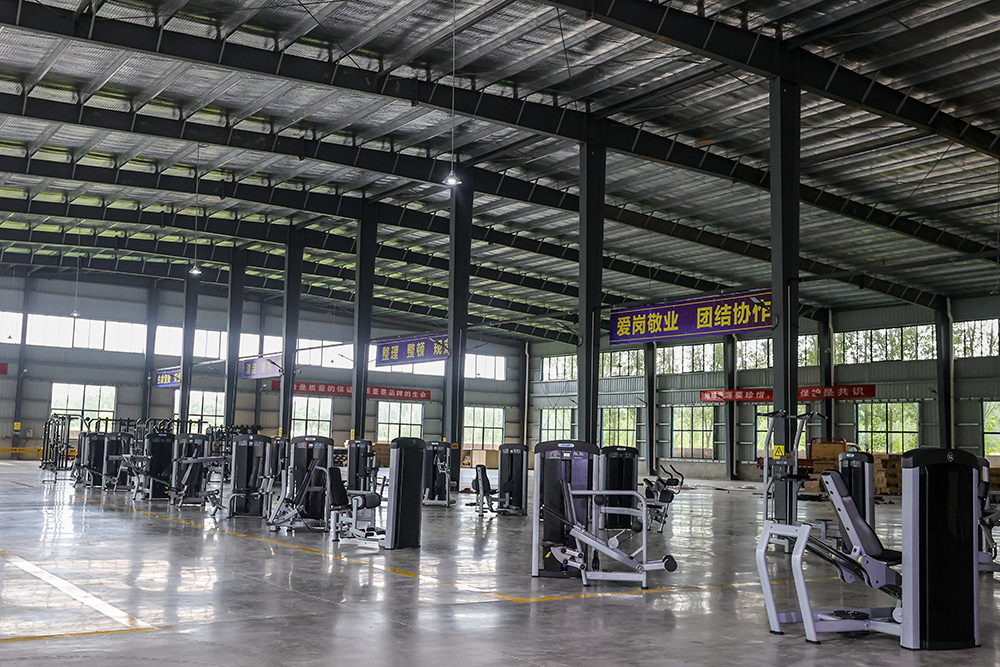 Home T Bar Row Commercial Plate Loaded Arms Back Workout Incline Level