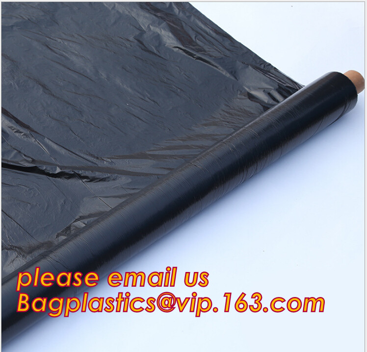 HOTICULTURAL MULCH FILM,AGRICULTURAL PE FILM,MARKET GARDENERS CLOCHE FILM,PE FILM FOR CORN,PLASTIC FILM COVER,TOMATO COV