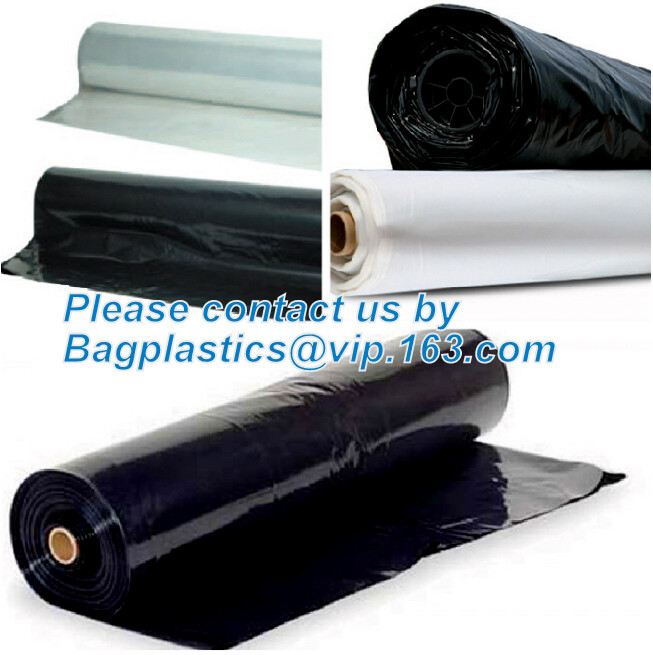 HOTICULTURAL MULCH FILM,AGRICULTURAL PE FILM,MARKET GARDENERS CLOCHE FILM,PE FILM FOR CORN,PLASTIC FILM COVER,TOMATO COV