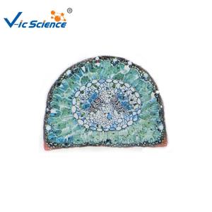 China Professional Labs Sterile Microscope Slides Set 15pcs VIC09 OEM Service wholesale