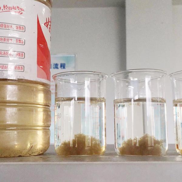 Polyacrylamide Polymer Polyelectrolyte Flocculant & Coagulant For Water Treatment