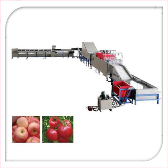 Quality Automatic Electronic Fruit Washing And Waxing Machine 5MT/H for sale