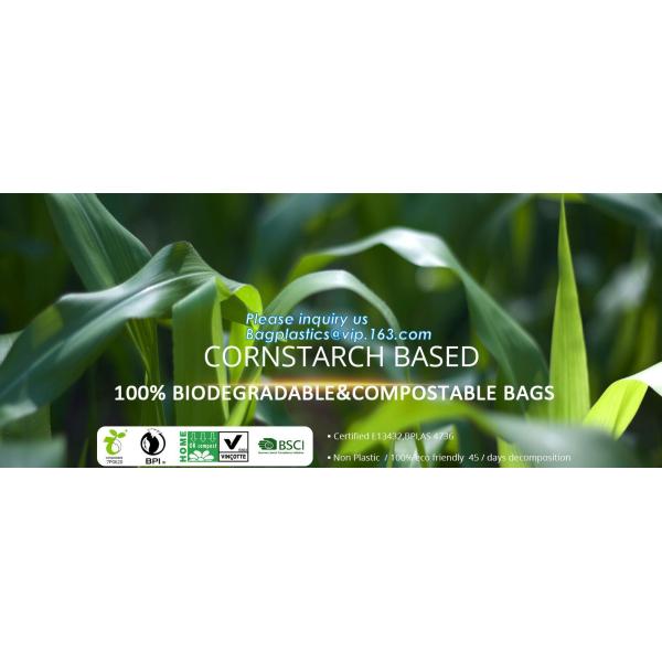 Bio degradable compostable food grade cornstarch carton liners, cornstarch biodegradable and compostable plastic roll ba