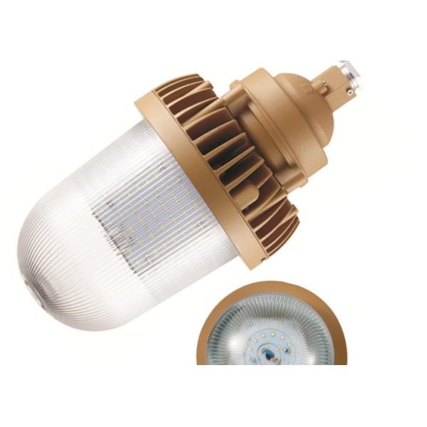 110 LM / W 60 Watt Explosion Proof LED Light Fixture Led High Bay Flame Proof Lights