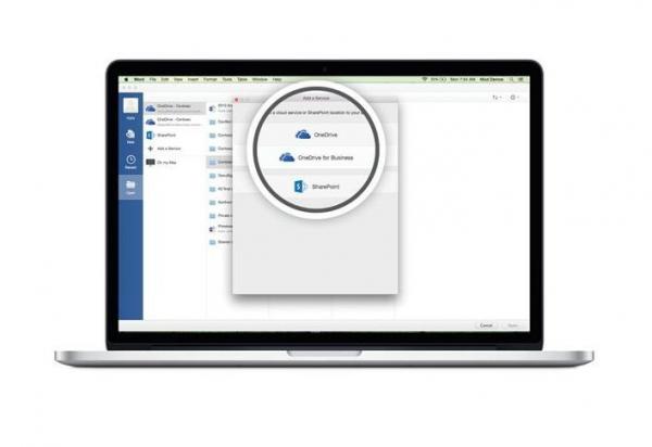 PC Laptop Ms Office 2021 Pro Plus Product Key + Windows 11 Pro / Home Product Key