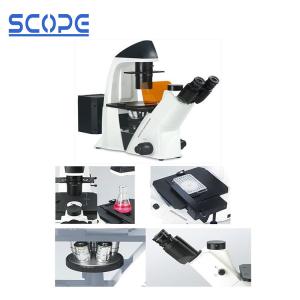 China BDS400-FL Inverted Biological Microscope Epifluorescence Illumination wholesale