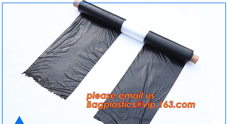 HOTICULTURAL MULCH FILM,AGRICULTURAL PE FILM,MARKET GARDENERS CLOCHE FILM,PE FILM FOR CORN,PLASTIC FILM COVER,TOMATO COV