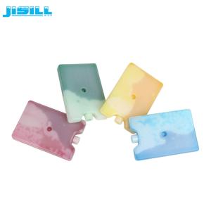 OEM Bpa Free Reusable Lunch Chiller Ice Cooler Pack With Eutectic Plate For Cool Bag