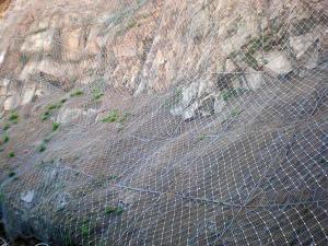 China 100x120mm Rock Fall Netting 4.0mm Gabion Basket Mesh wholesale