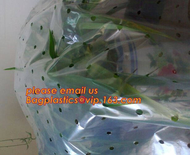 HOTICULTURAL MULCH FILM,AGRICULTURAL PE FILM,MARKET GARDENERS CLOCHE FILM,PE FILM FOR CORN,PLASTIC FILM COVER,TOMATO COV