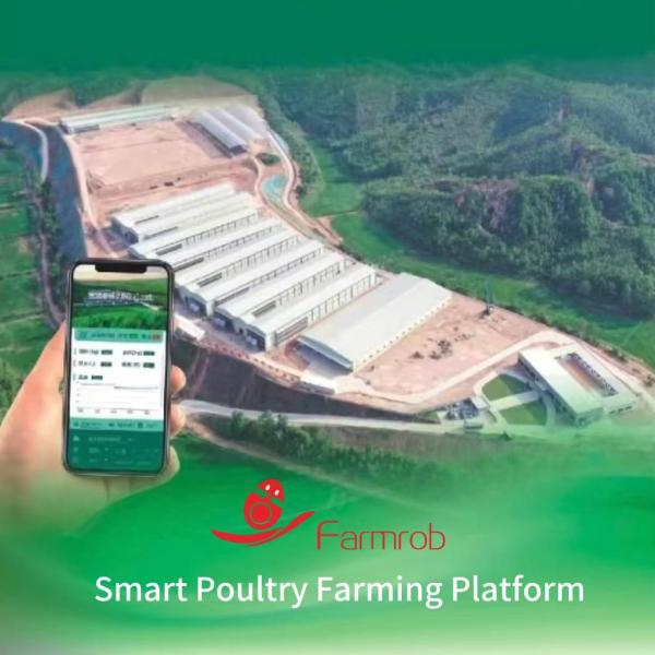 Quality Integrated Control Smart Poultry Farming Platform Improve Farming Efficiency Reduce Operating Costs for sale