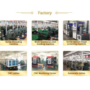 Beveled Flat Pan Head Shoulder Screw Special Threaded Dacromet Finish