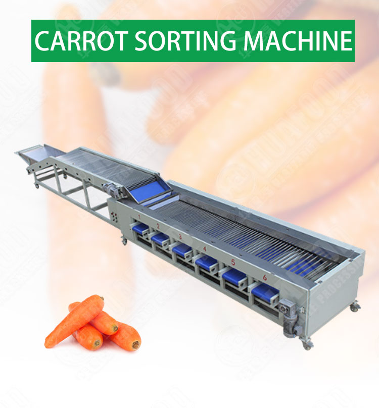 Carrot Onion Potato Grading Machine Fruit And Vegetable Sorting Machine