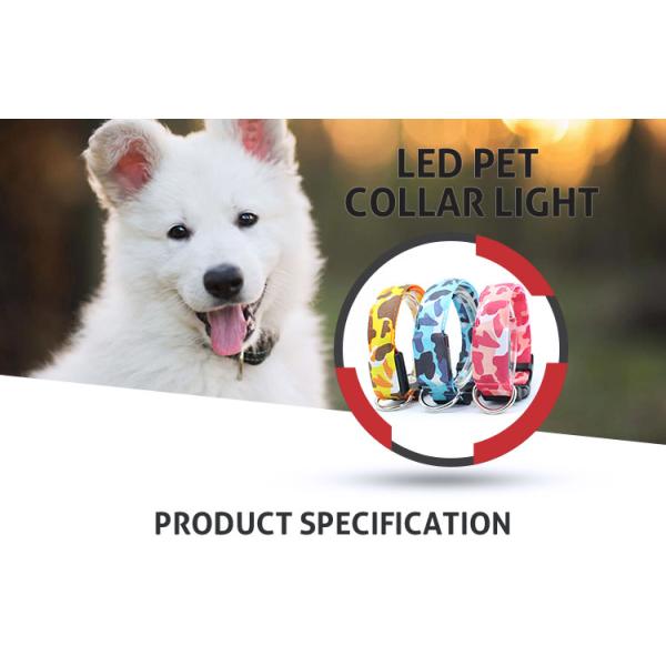 Light Up LED Dog Collar , Luminous Flashing Dog Collars For Small Dogs