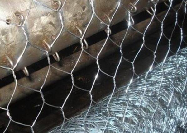 Quality Hexagonal Galvanized Chicken Wire Mesh BWG 12 3/4" for sale