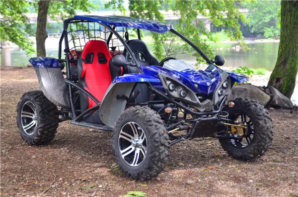 Quality Adult 4 Stroke Go Kart Buggy 2 Seater With Reverse Inside 150cc 200cc for sale