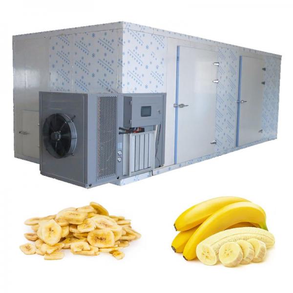 Quality Heat Pump Banana Chips Fruit Cabinet Dryer OEM SS304 Food Fruit Dehydrator for sale