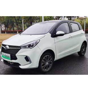 Quality Electric Hatchback F10 Supports Fast Charging with Five Seats Big Space for sale
