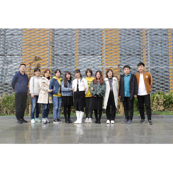 Durable Iron Steel Expanded Wire Mesh Ceiling / Expanded Metal Panels SGS Certificate
