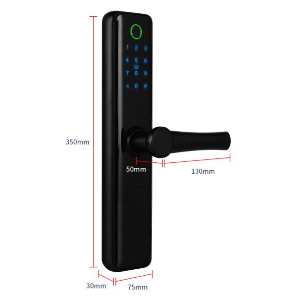 Smart Digital Electronic Door Lock Fingerprint Touch Password Keyless Anti Theft