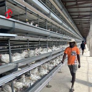 Poultry Farm Computer Control Automatic Chicken Cage Equipment Modern Sandy