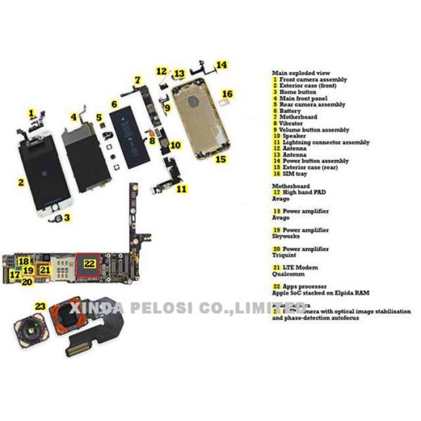 IPhone 5 / 5s / 5c Apple Iphone Replacement Parts For Iphone Rear Camera Flex
