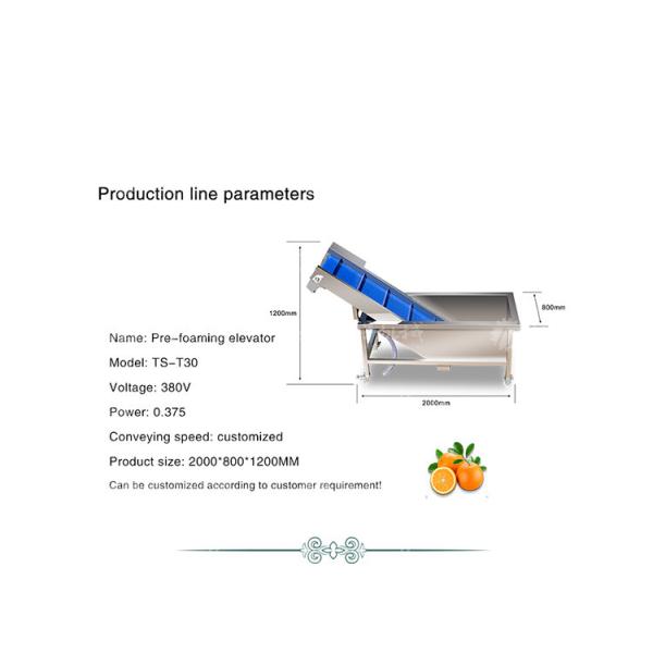 Kiwi Carrot Taro Vegetable Brush Bubble Cleaning Machine 2.5KW