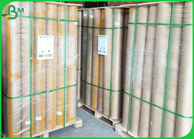 Inkjet Printing 60gsm Bond Plotter Paper Roll For Drafting Printer