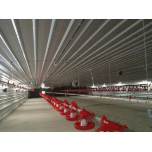 China Automatic Steel Structure Peb Customized Poultry Chicken Farming Shed wholesale