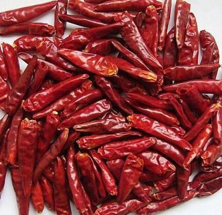 Quality HACCP Red Bell Pepper Flakes Crushed Chilli Max 10% Moisture 3mm for sale
